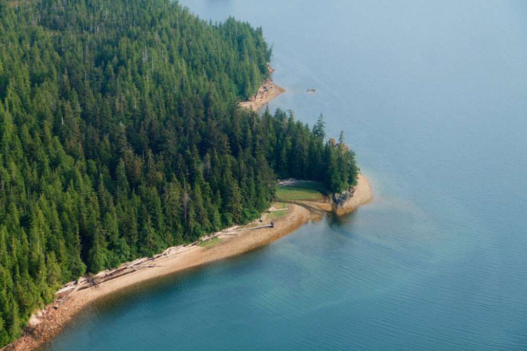 f6abec01-f062-4bd6-a22f-cd989d11bba5