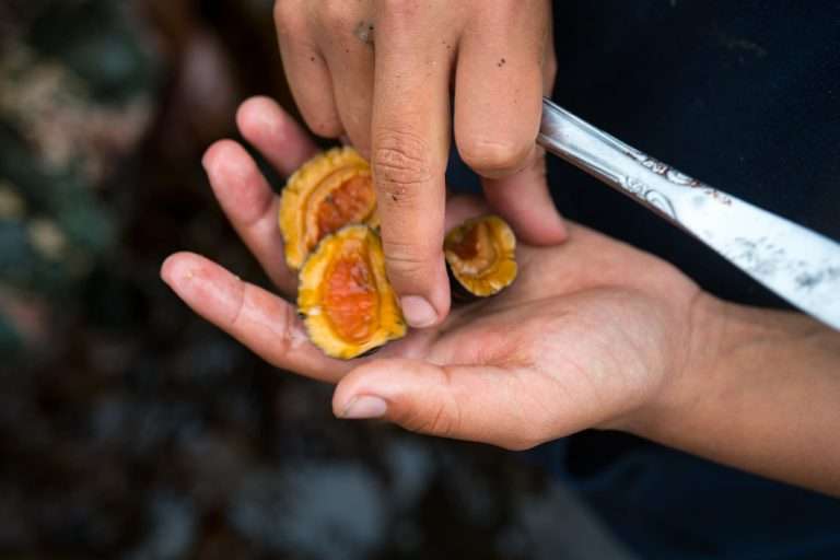 MySealaska - News - Blood Quantum Q and A